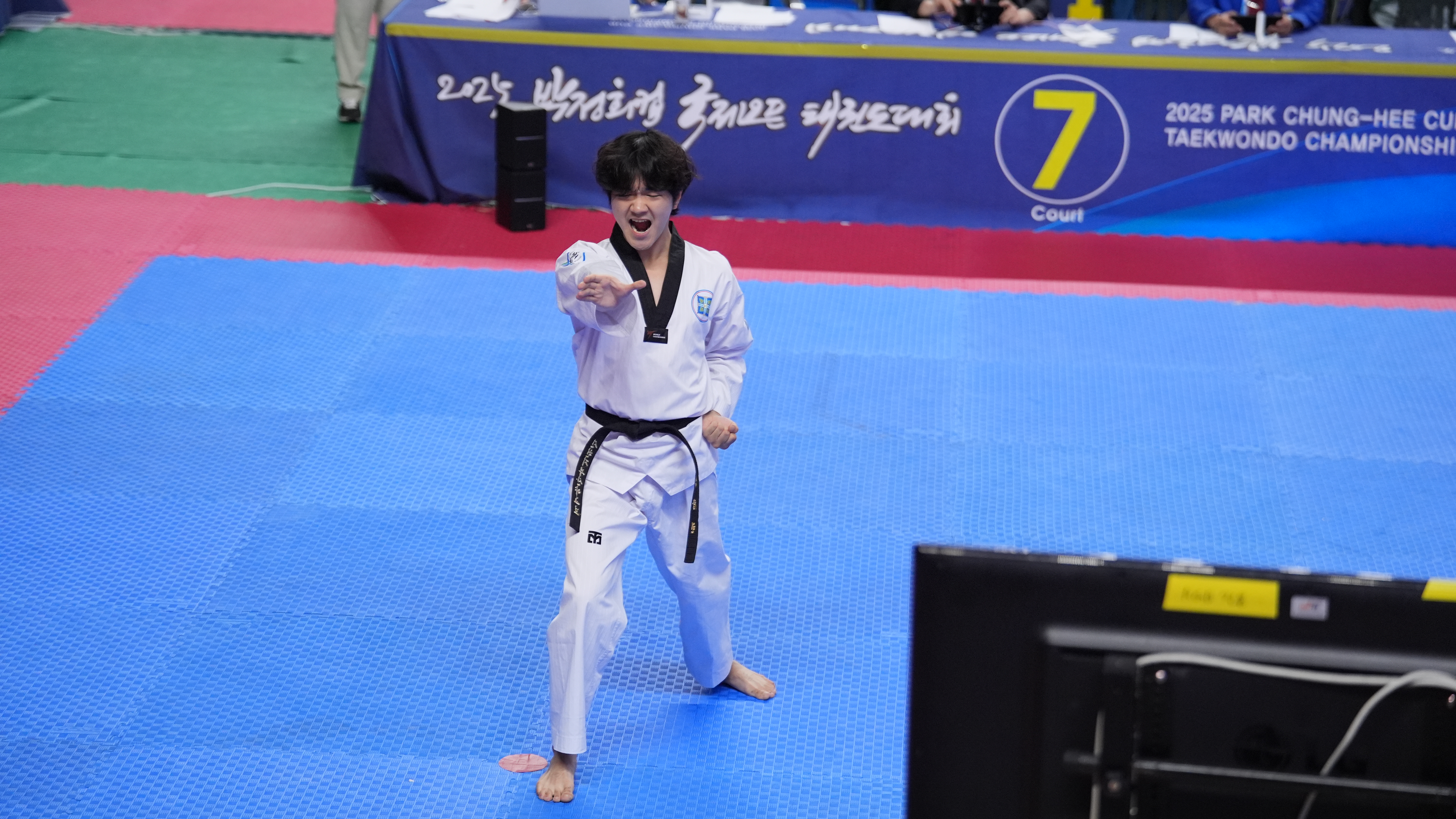 Shincheonji Taekwondo team member Bae Dowon performing poomsae in the individual competition