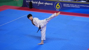 Shincheonji Taekwondo team member Lim Chang-hyun performing poomsae in the individual competition.