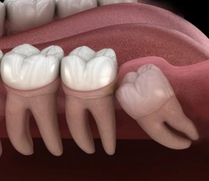 Img dental specialties