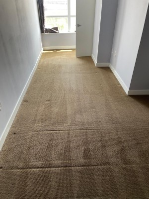 Expert Carpet Cleaners Toronto