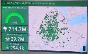 Jimi Cohen - World Record Holder for Planting Most Trees in 24 Hours