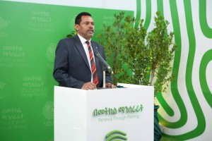 Treegen Proof of Tree dapp