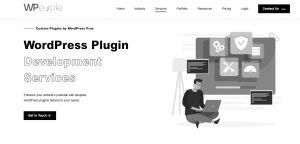 WordPress Plugin