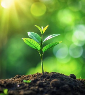 Green Ammonia Decarbonizes Fertilizer Production to Reduce Agriculture’s Impact