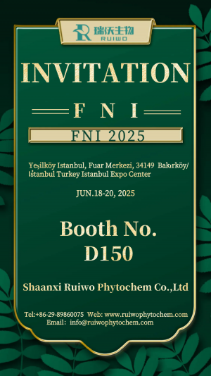 Shaanxi Ruiwo at FNI 2025 in Turkey