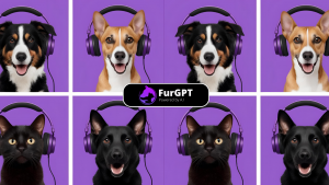 Delivering smooth, intelligent interactions through optimized multichain companion tech.