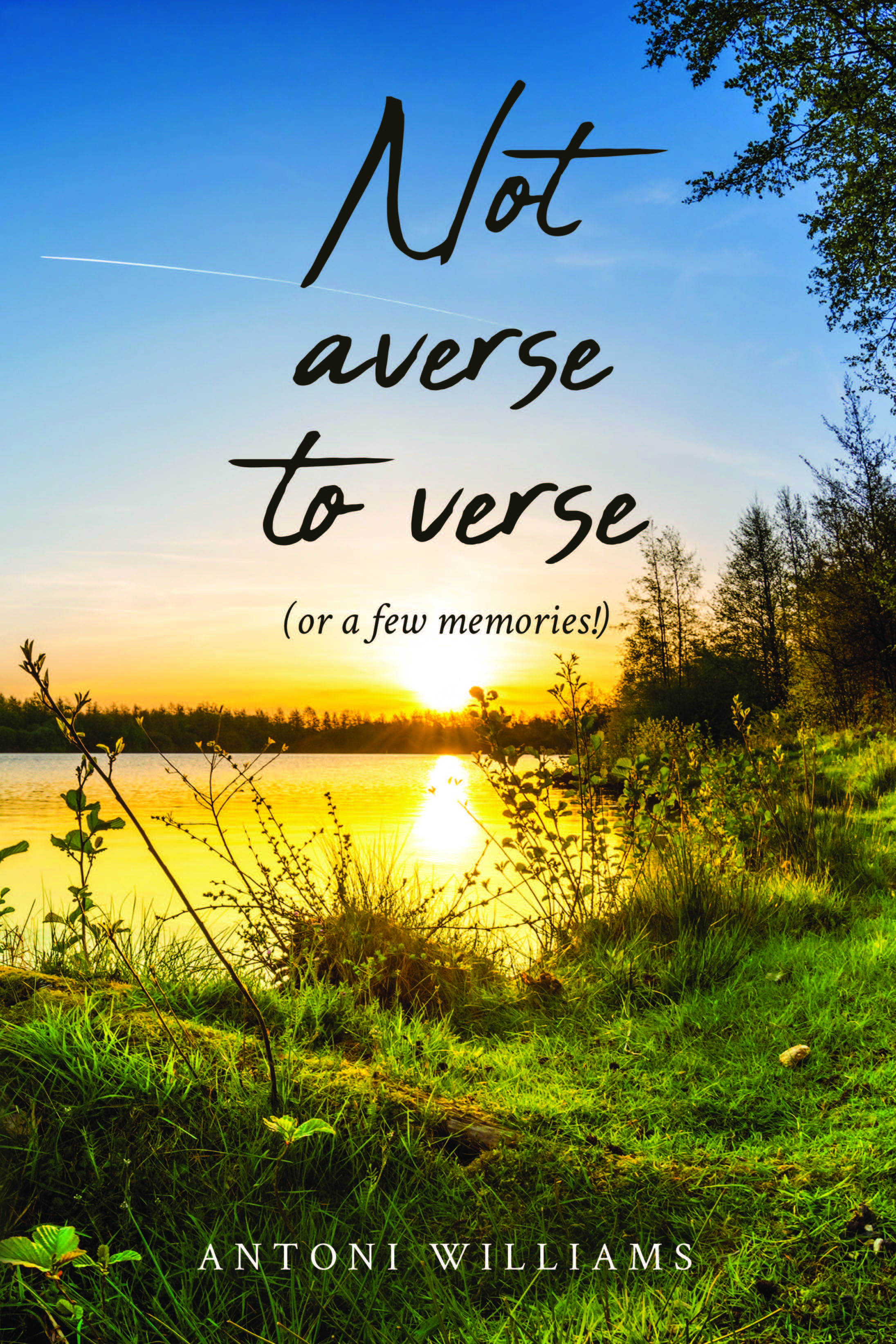 Not Averse to Verse published by Books to Life Marketing