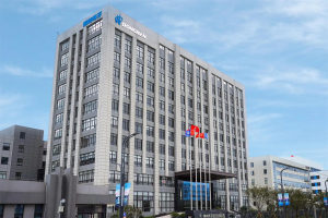 Dongnan Electronics Co Ltd