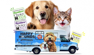 Personalized Grooming, Designed for Comfort and Calm