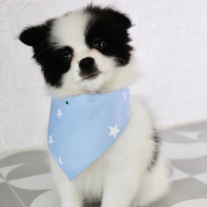 IMG 3242 67742215 3a93 4244 8d27 e396a8636c5e 1024x 1