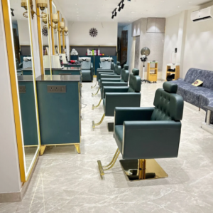 Professional salon equipment India
