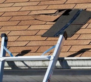 roofing contractor services