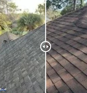 roofing service in Oneonta AL