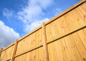 Fence Building