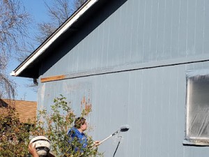 painting a Eugene home