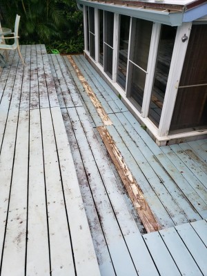 mold remediation Kapaa HI