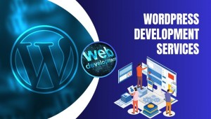 custom wordpress development services