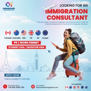 Immigration consultants