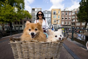 Founders Michel and Dillon with Gus the cat, Rosie, Maple, and Napoleon.