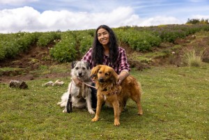 Freddy, 6, enjoying life in Amsterdam, photographed for the Paws Around the World project.