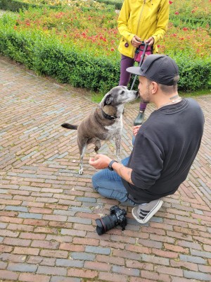 Katherine, Cusco Canine Rescue member and founder of Angelitos en la Tierra.