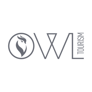 owl logo 2
