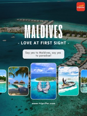 WhatsAppImage2025 08 14at20 51 34