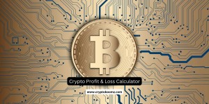 crypto profit and loss calculator