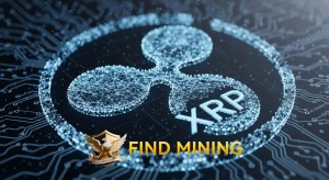 photo 2025 08 12 16 52 53