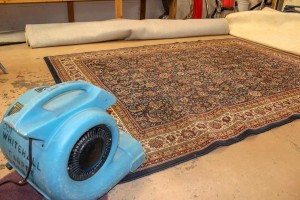 area rug cleaning 1