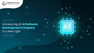 AI software and application development