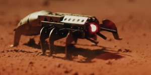 ©2025 Aurora Picture Company