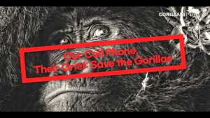 Our Cell Phone, Their Grief: Save the Gorillas