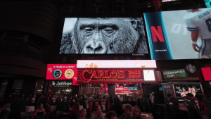 Photographer Ji Young-Bin