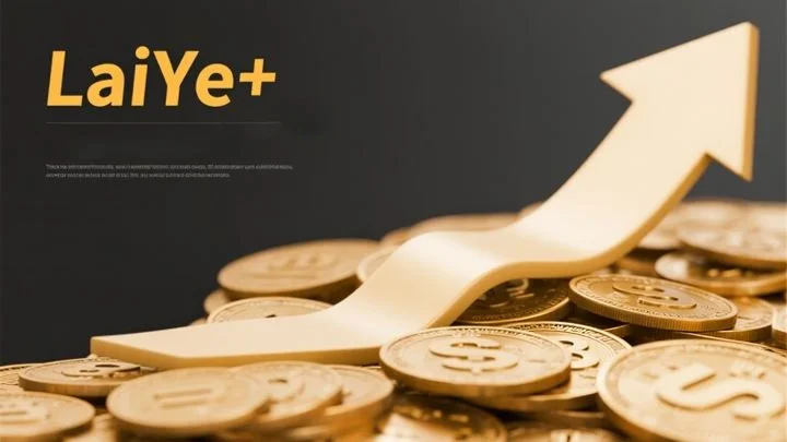 LaiYePlus Exchange LaiYePlus Exchange