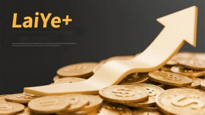 LaiYePlus Exchange