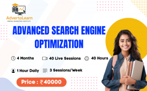 Advanced Search Engine Optimization 4 Months 1 1