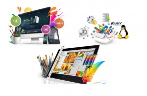 customized software development company