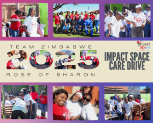 Impact Space - Team Zimbabwe