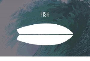 fish surfboards