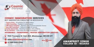 immigration consultant mississauga