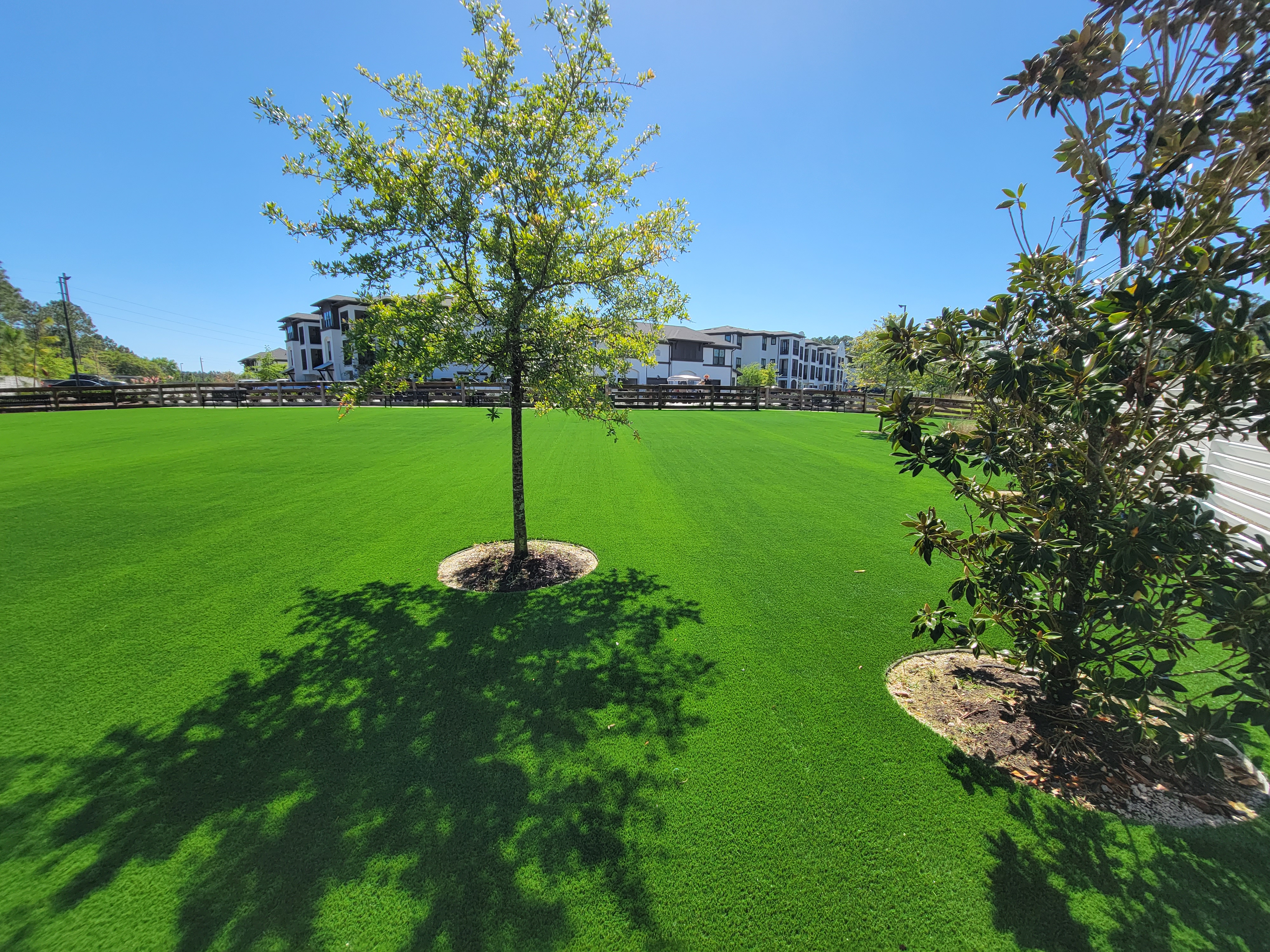 Artificial Pet Turf St Augustine