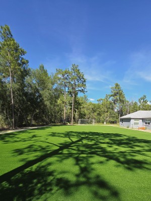 Artificial grass soccer field oviedo