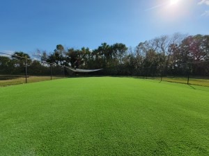 Artificial Pet Grass Winter Springs