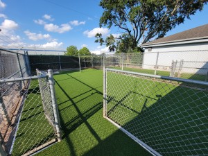 Pet Turf Installation Orlando