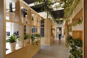 software development company