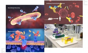 China Top Protein Antibody Manufacturer