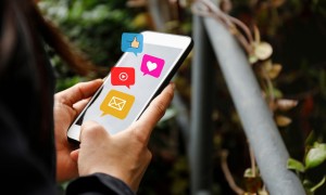 social media screening