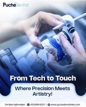 puche dental laboratory