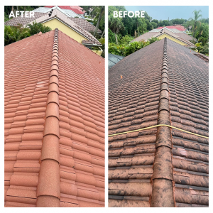 Roof Washing Service by EM Pressure Washing